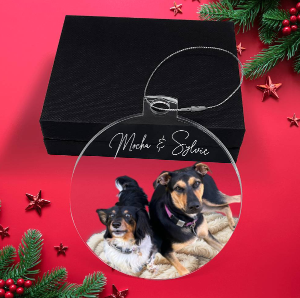 Pet Photo Minimalist Style Personalized Acrylic Ornament