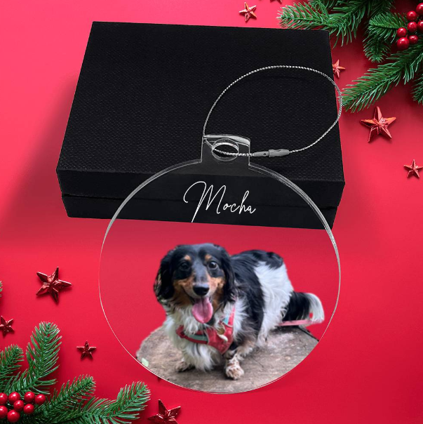 Pet Photo Minimalist Style Personalized Acrylic Ornament